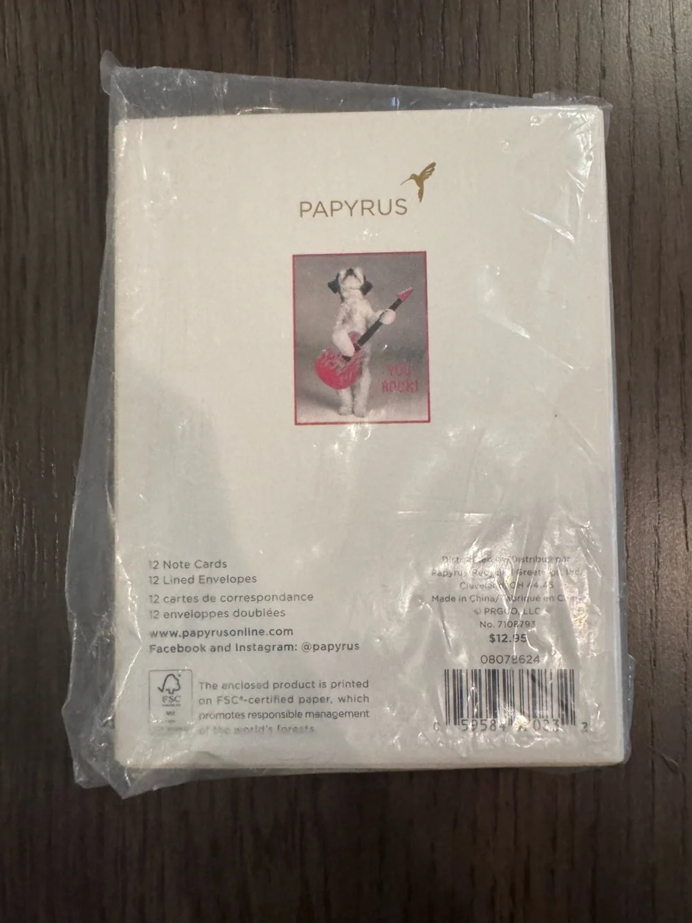 Papyrus Dog Card with Red and White Flame Guitar - Set of 12